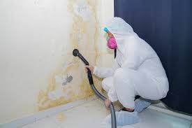 Mold Documentation for Insurance Claims in Lawrenceburg, IN